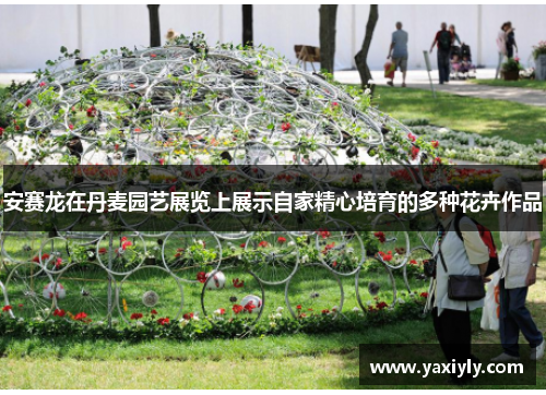 安赛龙在丹麦园艺展览上展示自家精心培育的多种花卉作品 安赛龙在丹麦园艺展览上展示自家精心培育的多种花卉作品