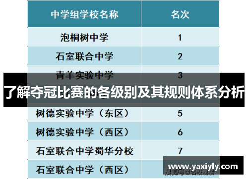 了解夺冠比赛的各级别及其规则体系分析