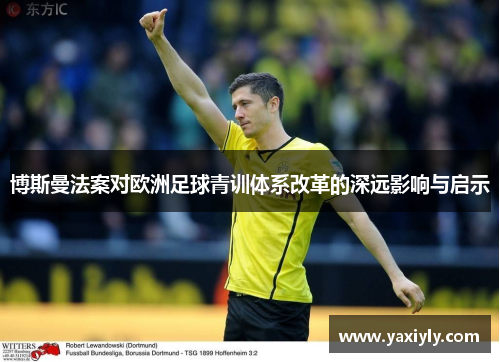 博斯曼法案对欧洲足球青训体系改革的深远影响与启示