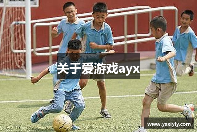 关于爱游戏ayx